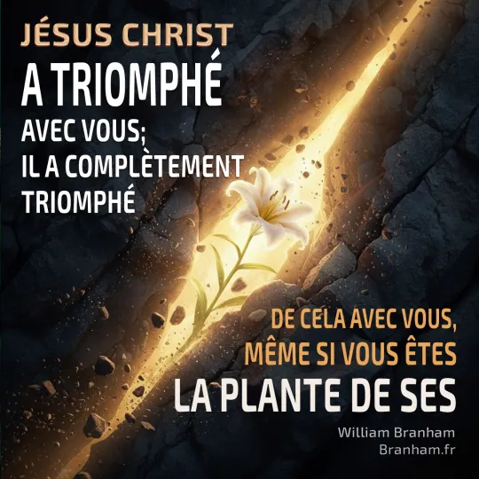 Картинка цитаты