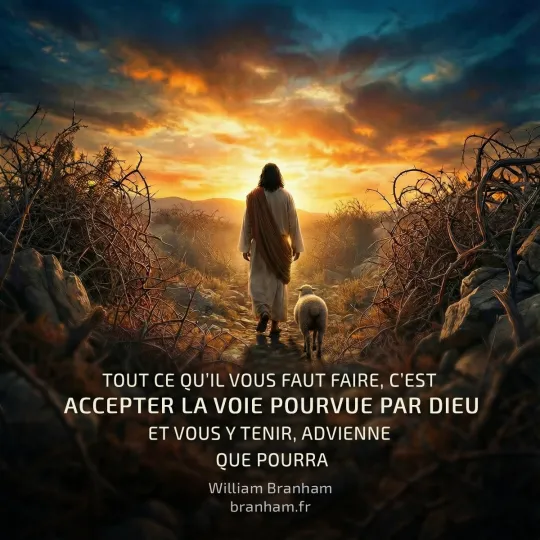 Картинка цитаты