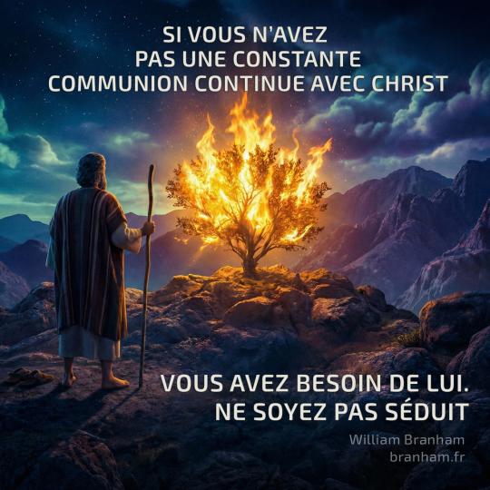 Картинка цитаты